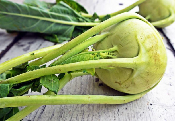 Foto - Alabaş kanserden koruyor!