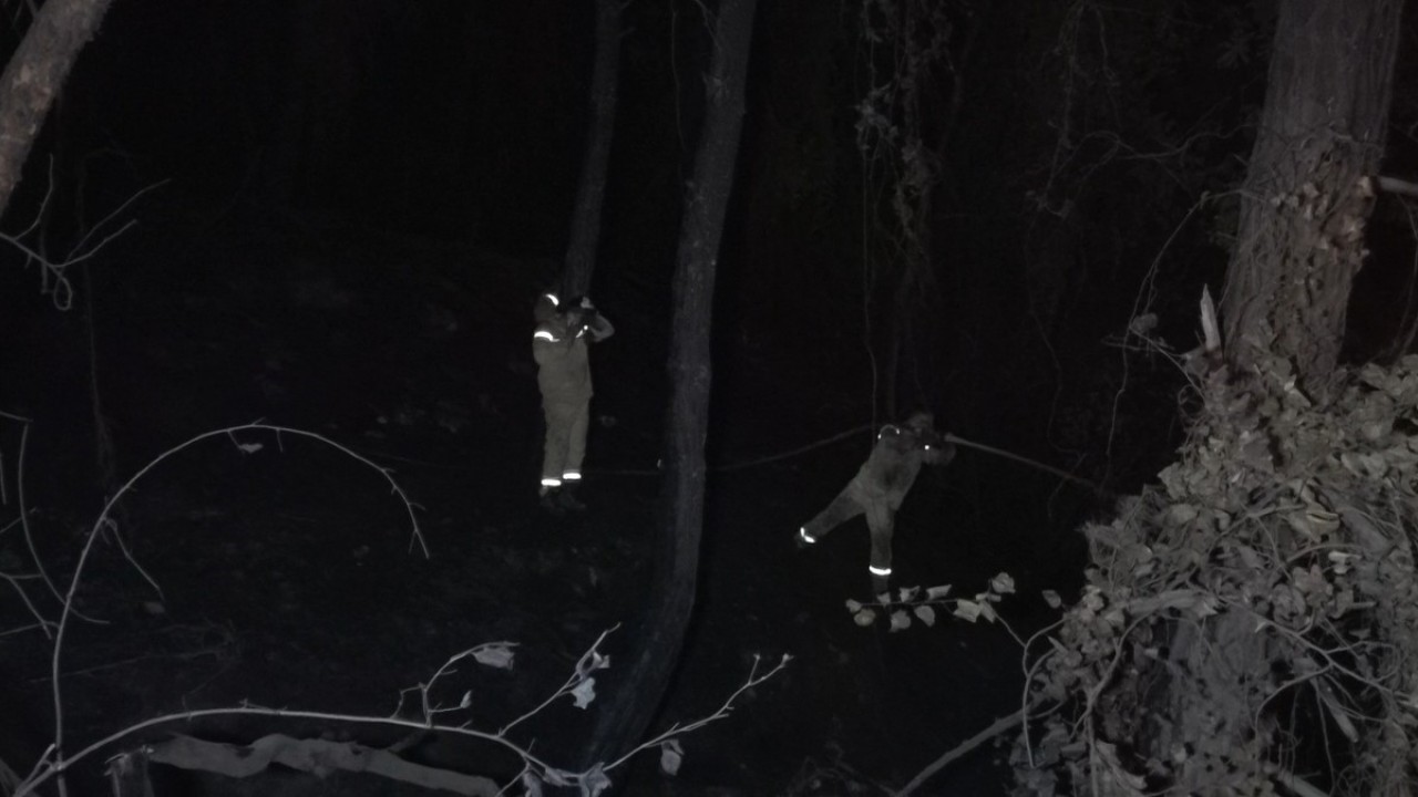 Foto - Alanya'da 3 hektarlık alan küle döndü