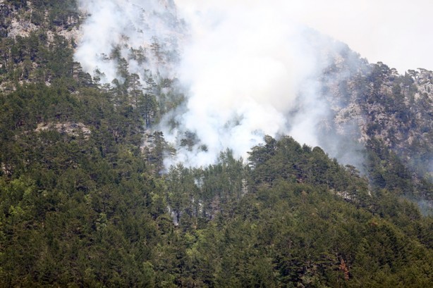 Foto - Alanya'da orman yangını