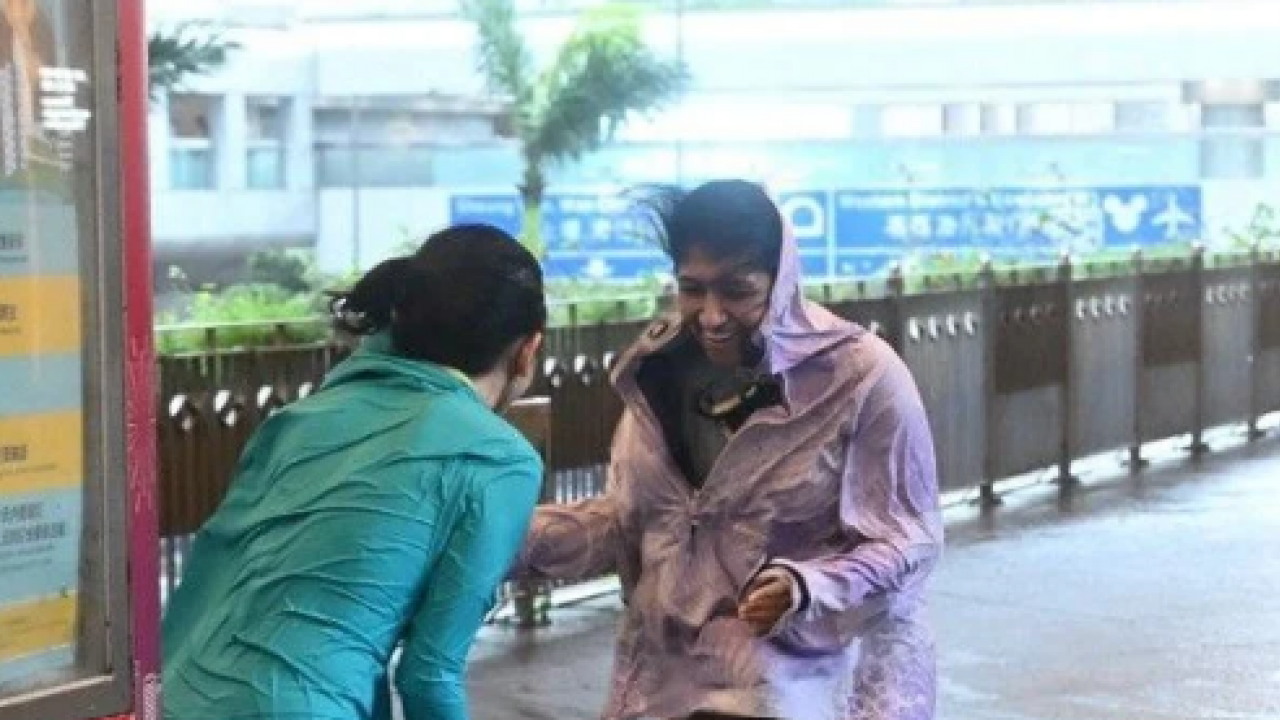 Foto - Alarm seviyesi tavan yaptı: 500 uçuş iptal edildi, okullar kapatıldı 