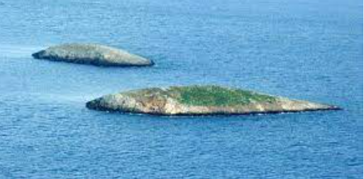 Foto - Alçak savaş senaryosu! Sene 2027: Fransa ile o ülke Türkiye'ye saldıracak, 250 Türk askeri ölecek