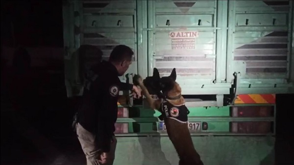 Foto - Alçaklar her yolu deniyor! Salatalık çuvalına bakın ne gizlemişler