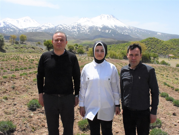 Foto - Aldığı hibe fide desteğiyle tarlasında lavanta yetiştiriyor