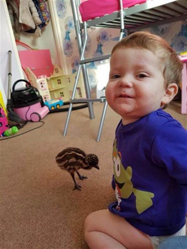 Foto - Aldığı yumurtanın içinden bakın ne çıktı!