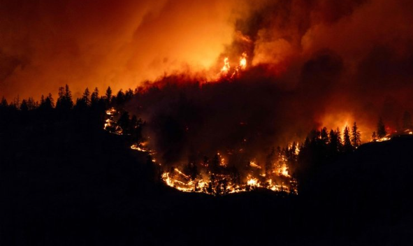 Foto - Alevler yarın şehre ulaşacak! Ülke felaketi yaşıyor: Tahliye yapılamıyor