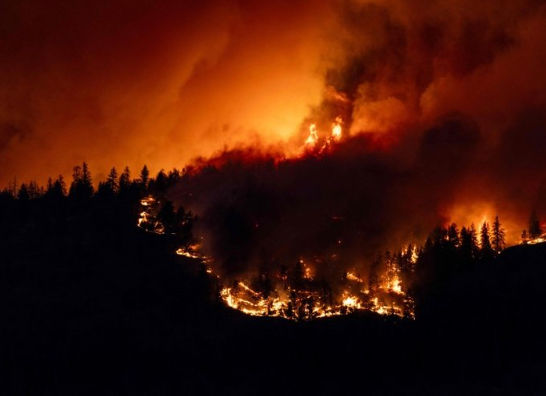 Foto - Alevler yarın şehre ulaşacak! Ülke felaketi yaşıyor: Tahliye yapılamıyor