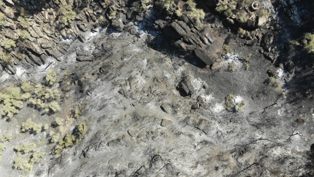 Foto - Alevlerden geriye kül kaldı