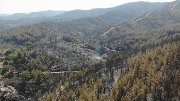 Foto - Alevlerden geriye kül kaldı