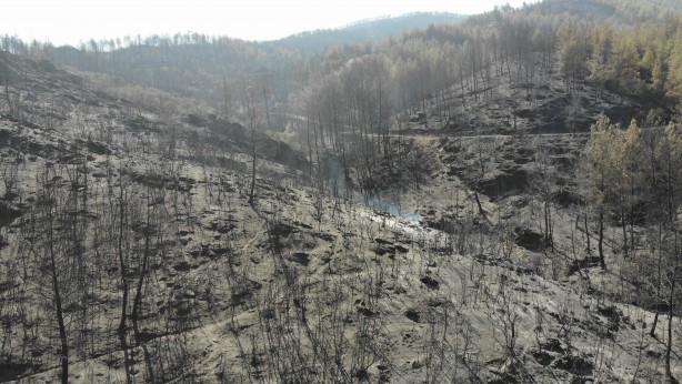 Alevlerden geriye kül kaldı