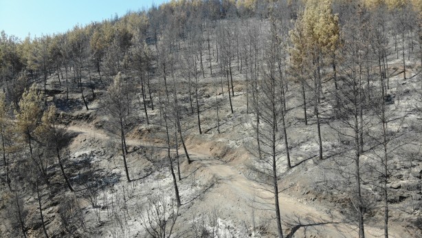 Foto - Alevlerden geriye kül kaldı