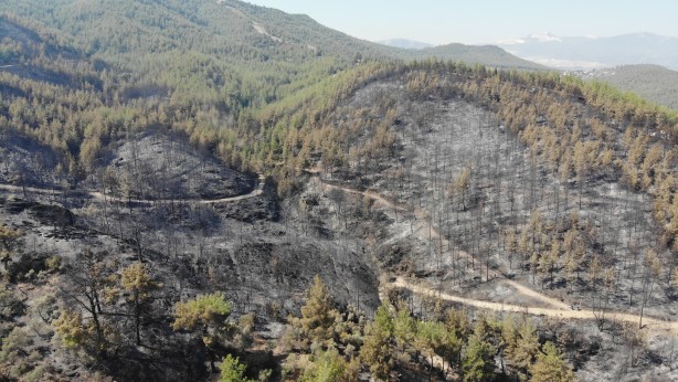 Foto - Alevlerden geriye kül kaldı