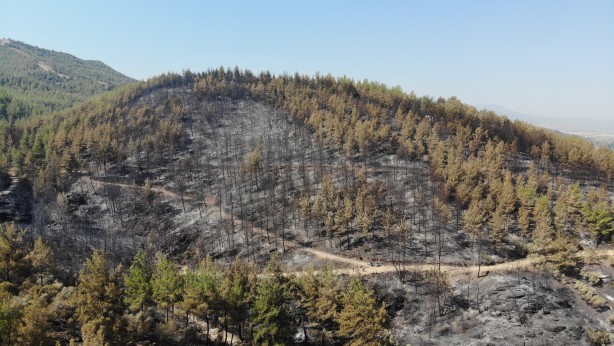 Foto - Alevlerden geriye kül kaldı
