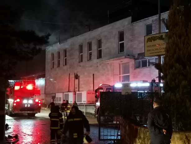 Foto - Alevlere teslim olan süt fabrikasında 200 güvercin telef oldu!