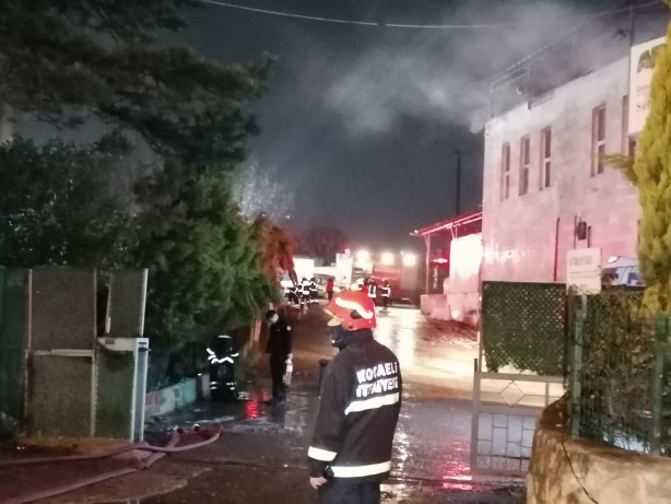 Foto - Alevlere teslim olan süt fabrikasında 200 güvercin telef oldu!