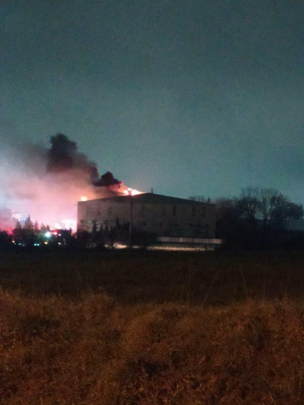 Foto - Alevlere teslim olan süt fabrikasında 200 güvercin telef oldu!