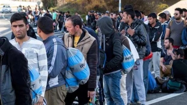 Foto - Algı oyunları tek tek bozuluyor! İşte Suriyeliler hakkında söylenen yalanlar...