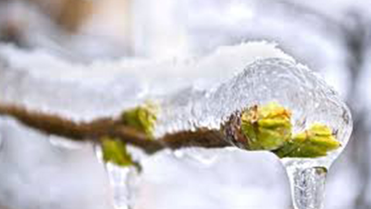 Foto - Ali Rıza Demircan'dan gündemi altüst edecek çıkış: Allah bu felaketi Türkiye'ye ceza olarak yolladı
