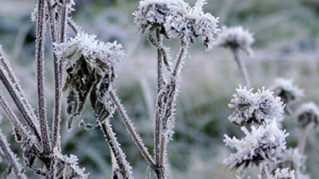 Foto - Ali Rıza Demircan'dan gündemi altüst edecek çıkış: Allah bu felaketi Türkiye'ye ceza olarak yolladı