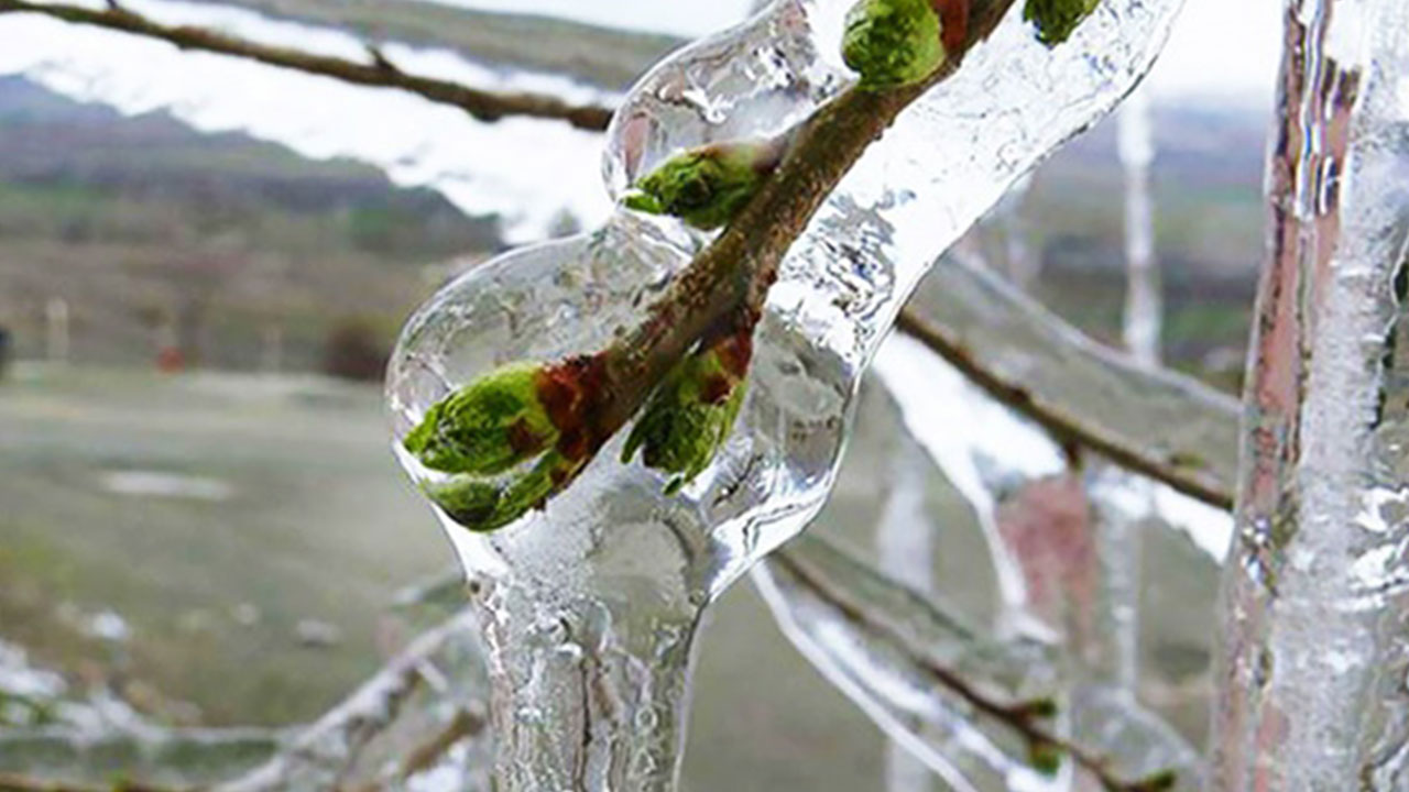 Foto - Ali Rıza Demircan'dan gündemi altüst edecek çıkış: Allah bu felaketi Türkiye'ye ceza olarak yolladı