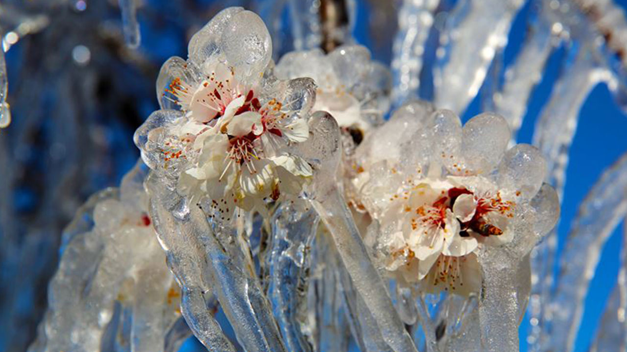 Foto - Ali Rıza Demircan'dan gündemi altüst edecek çıkış: Allah bu felaketi Türkiye'ye ceza olarak yolladı