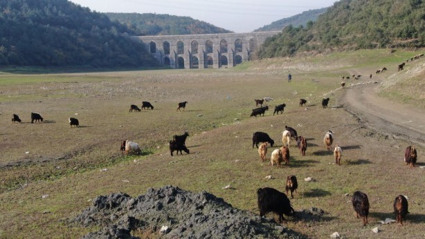Foto - Alibeyköy Barajı kuruyor! Tehlike büyük…