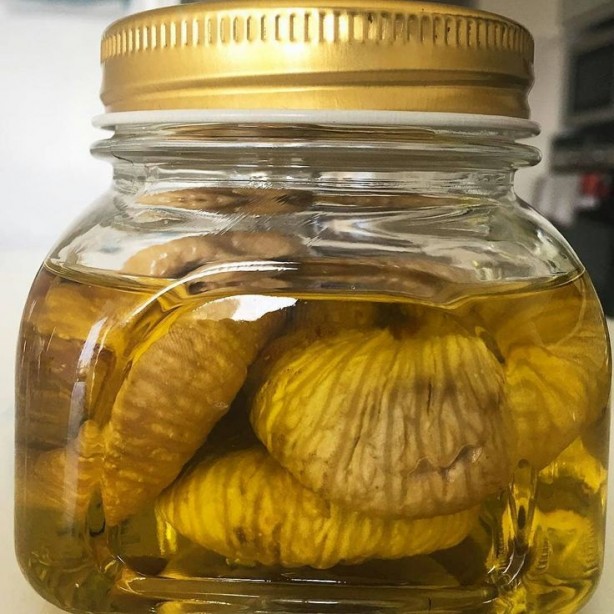 Foto - Alimlerin alimi İbn-i Sina’nın bir tarifi daha gündem oldu İşte her derde deva muhteşem kürü