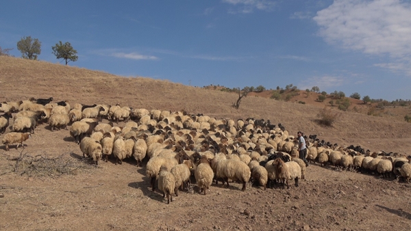 Foto - "Alın size kanıt" deyip söyledi... Aysun Kayacı'ya müthiş gönderme