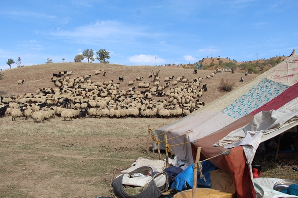 Foto - "Alın size kanıt" deyip söyledi... Aysun Kayacı'ya müthiş gönderme