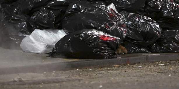 Foto - Alın size medeniyet! Laikçiler iyi okusun