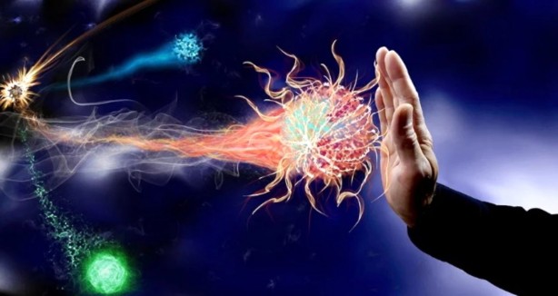 Foto - Alıp buzluğa atanlar dikkat! Mutlaka bu kısma bakılmalı…