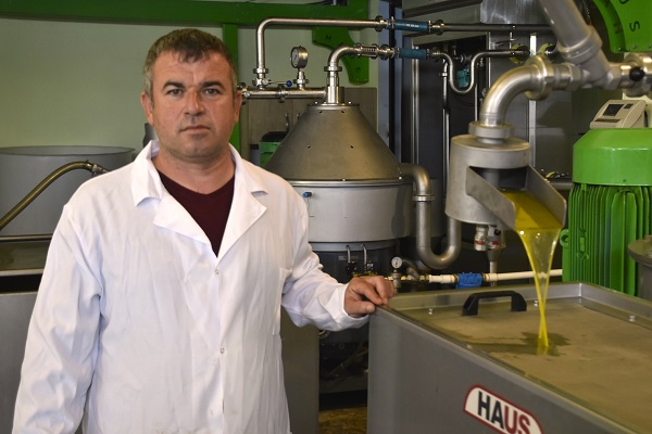 Foto - Alırken bunlara dikkat! İşte büyük tehlike saçan zeytinyağları