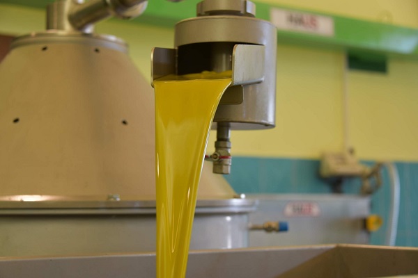 Alırken bunlara dikkat! İşte büyük tehlike saçan zeytinyağları