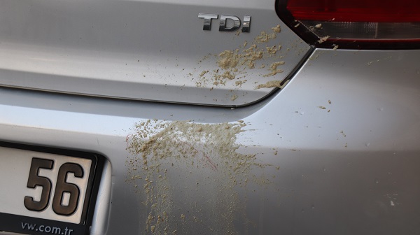 Foto - Alkollü şahıs mahalleyi bu hale getirdi