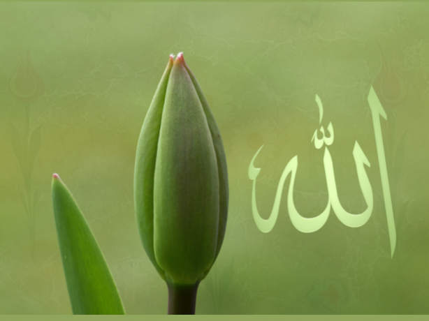 Foto - Allah bu kişileri münafık sayıyor