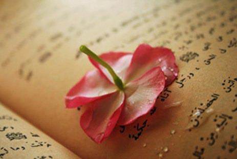 Foto - Allah bu kişileri münafık sayıyor