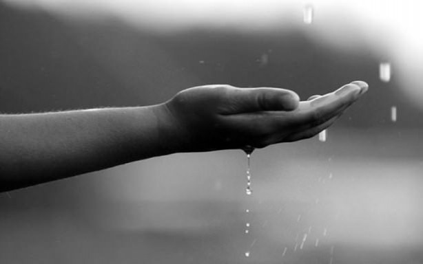 Foto - Allah bu kişileri münafık sayıyor