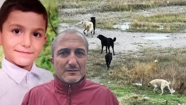 Allah düşman başına vermesin! Parçalamadılar, resmen böyle yediler! Artık bıçak kemiğe dayandı 