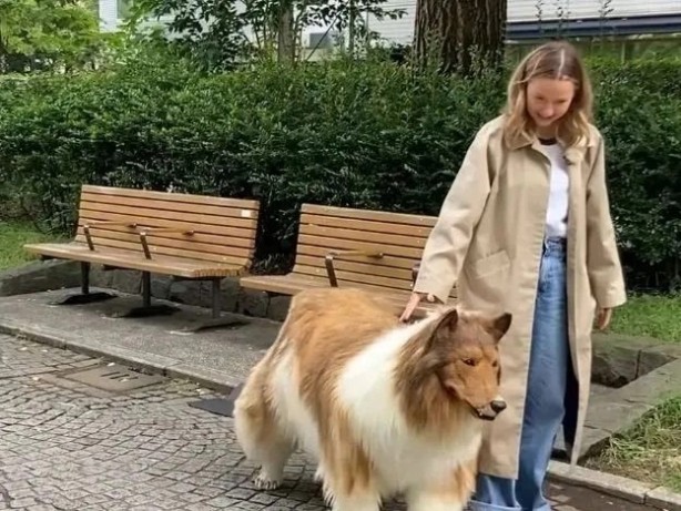 Foto - Allah şaşırtmasın... Köpeğe benzemek için 450 bin TL harcamıştı: Bakın şimdi neye dönüşecek