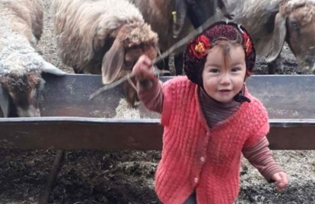 Allah senin cezanı versin utanmaz adam! İdam edin bunu, idam