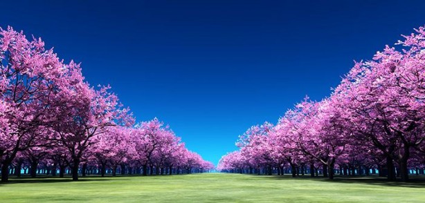Foto - Allah'ın inanan kulları için hazırladığı 8 cennet kapısı nelerdir?