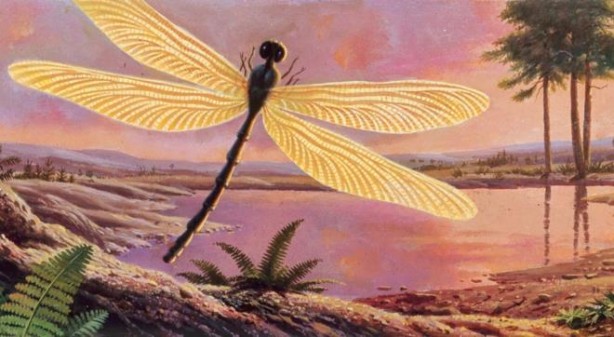 Foto - Allah’ın mucizesi! Dünyayla ilgili şaşkına çeviren bilgiler