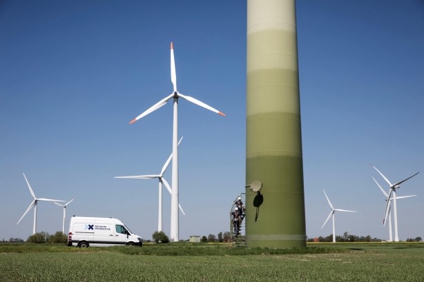 Foto - Alman devi çıldırdı! "Türkiye'ye getirmek istiyoruz" diyerek duyurdular