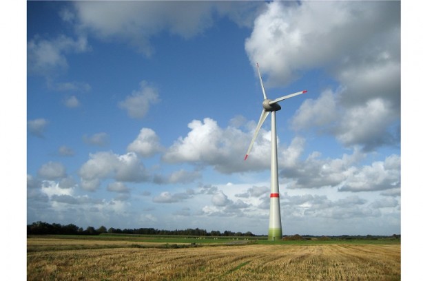 Foto - Alman devi çıldırdı! "Türkiye'ye getirmek istiyoruz" diyerek duyurdular