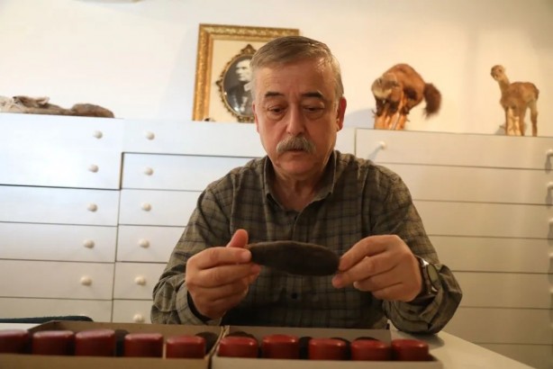 Foto - Alman ve Sloven araştırmacılar farkına vardı! Türkiye’de hızla yayılan şaşırtan keşif