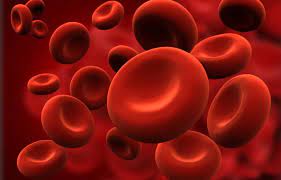 Foto - Almanlar böyle duyurdu: yap, ezber bozulsun! Yıllardır kullandığı tarif, o kireçlerin düşmanı, damarları temizliyor