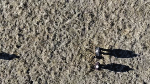 Foto - Almanlar 'Petrol yok' deyip kapatmıştı! O kuyu şimdi ne durumda?