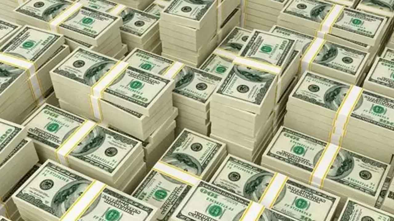 Almanya, Hollanda ve Birleşik Arap Emirlikleri'nden çılgın hamle: Türkiye'ye dolar yağdı