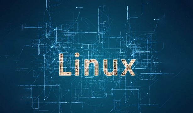 Foto - Almanya Windows’u siliyor! Linux kullanacaklar