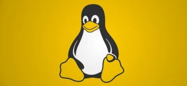 Foto - Almanya Windows’u siliyor! Linux kullanacaklar