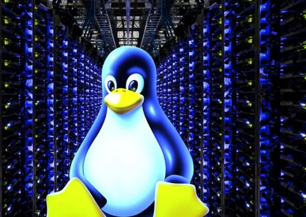 Foto - Almanya Windows’u siliyor! Linux kullanacaklar